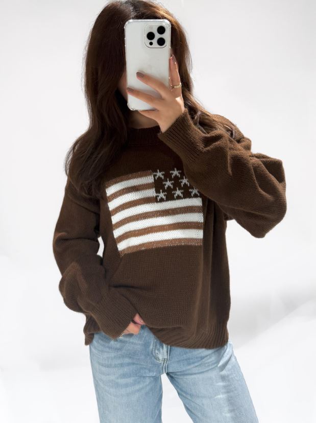 USA Sweater